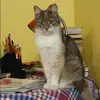 Отзыв от Элла Прокофьева